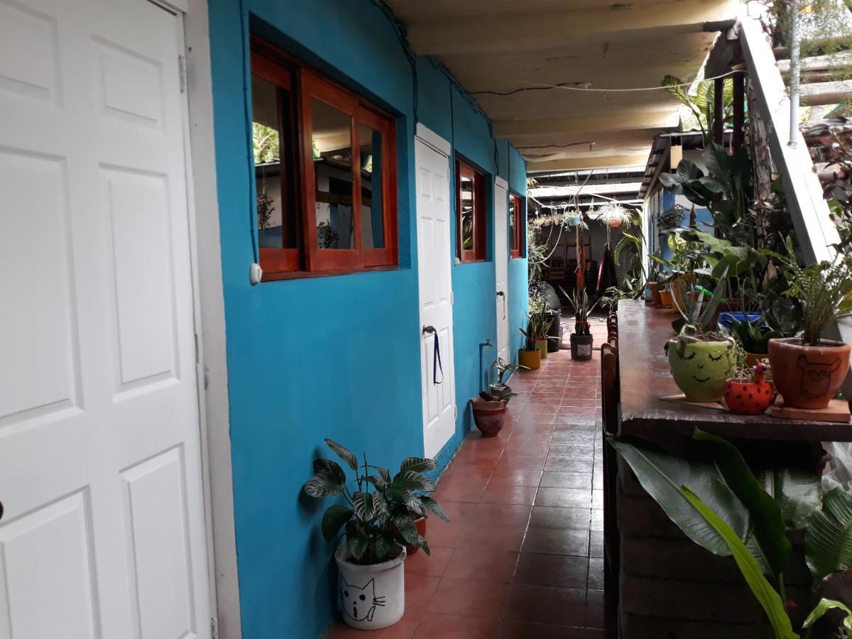 Hostal Javier'S House Sjs San Juan del Sur Exterior foto