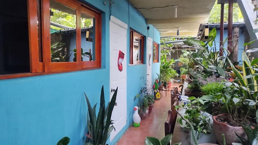Hostal Javier'S House Sjs San Juan del Sur Exterior foto