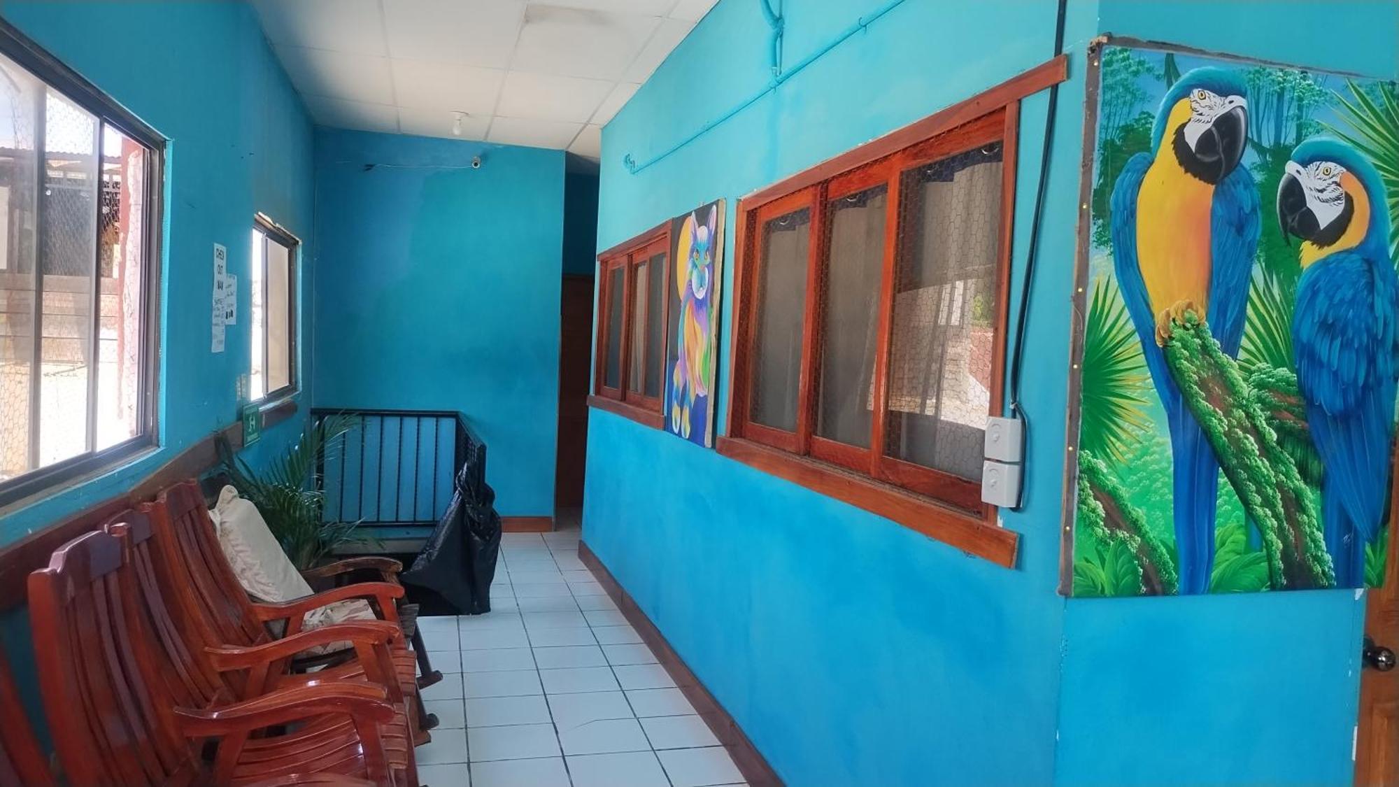 Hostal Javier'S House Sjs San Juan del Sur Exterior foto